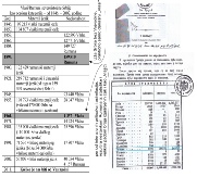 Asimilacija Rumuna u Timockoj Krajini i perspektive njihovog identiteta
